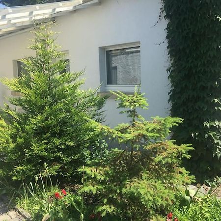 Kleines Haeuschen Am Garten In Darmstadt Ngoại thất bức ảnh